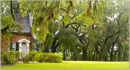 Welcome To Mansfield Plantation In Historic Georgetown, S.C.